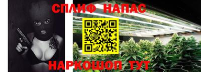 гашик Гусиноозёрск