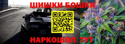 гашик Гусиноозёрск