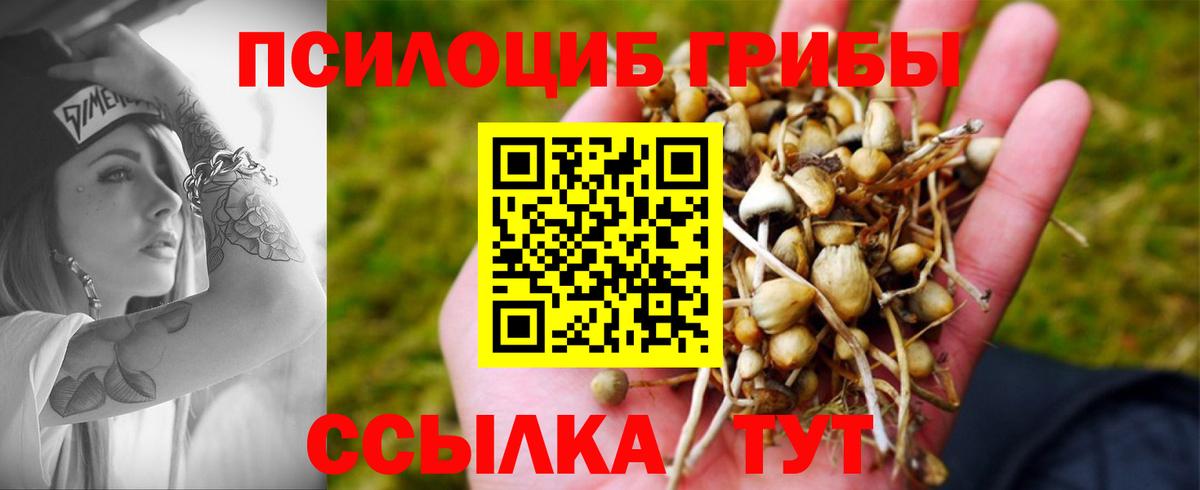 Лсд 25 Нижневартовск