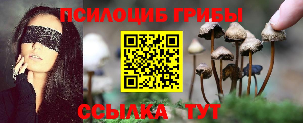 купить  сайты  Псилоцибиновые грибы Cubensis  Вход с VPN  Нижневартовск  Псилоцибиновые грибы мицелий 